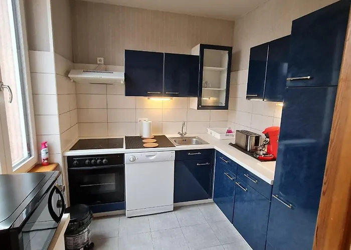 Belle Lauch Appartement Colmar